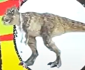 Tyrannosaurus rex