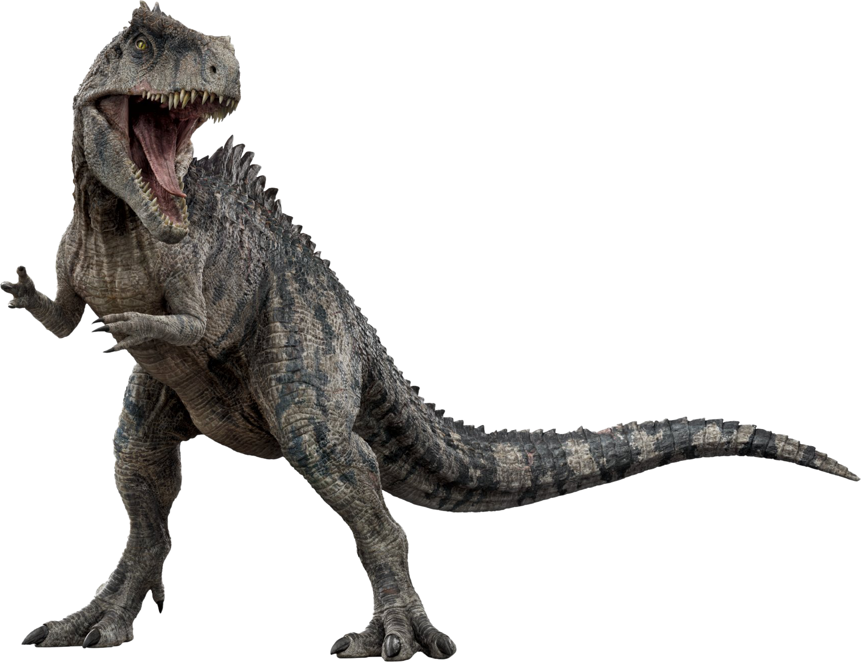 Giganotosaurus Images Browse 828 Stock Photos  Vectors Free Download with  Trial  Shutterstock