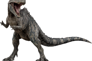 珍しい Zeb Fandom | Wiki Diego San World Jurassic | ジャケット・アウター