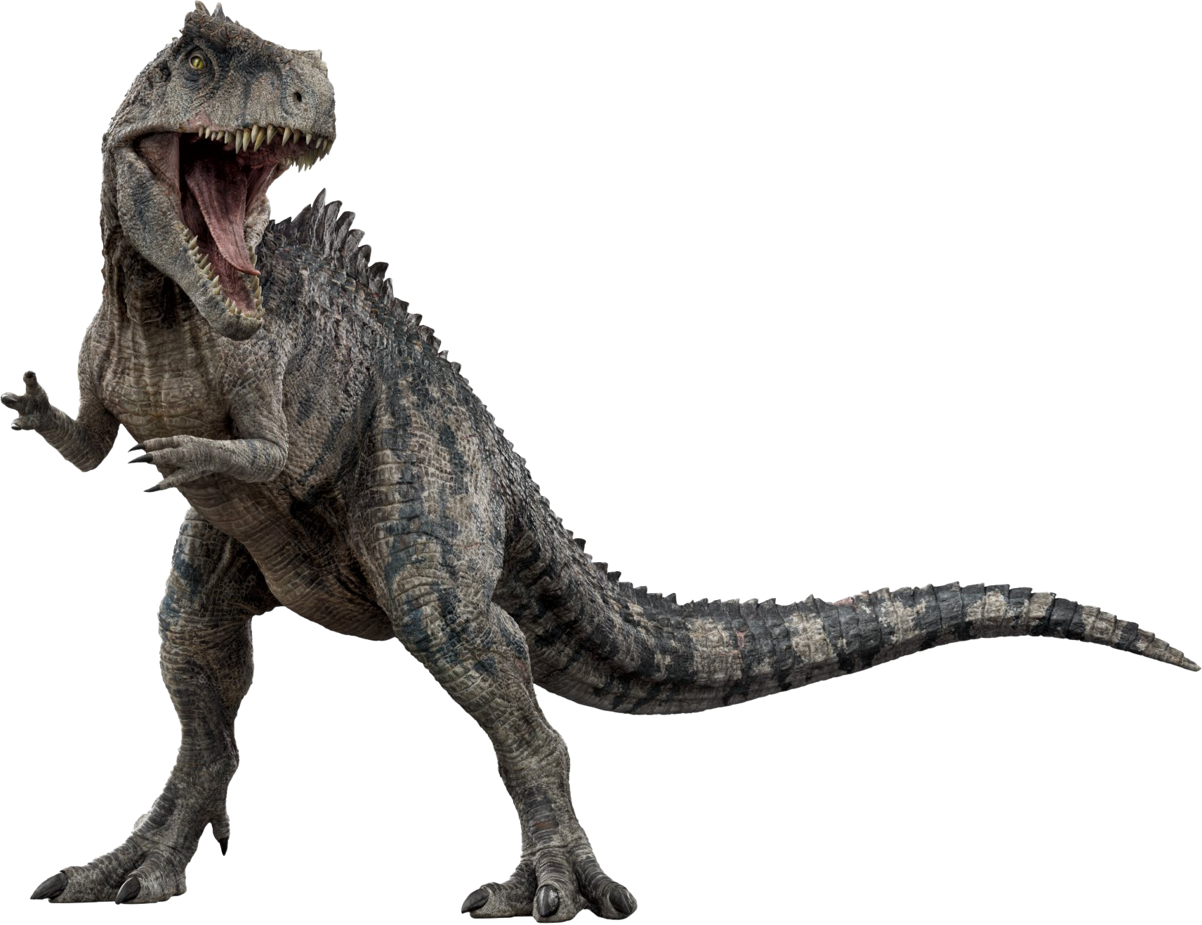 Giganotossauro (Jurassic World), Wikia Liber Proeliis