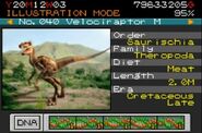 Male Velociraptor