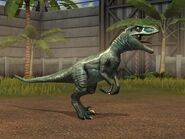 Velociraptor Gen 2 x