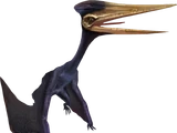 Zhejiangopterus