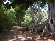 The area believed to be in the Velociraptor Paddock.