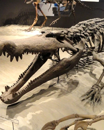 デイノスクス ジュラシック パーク Wiki Fandom