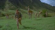 Gallimimus.jpg