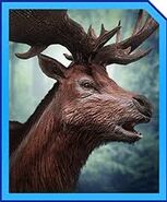 Megaloceros profile