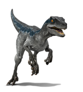 Raptorccrender