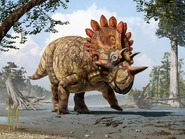 Regaliceratops.jpg (70 kB)