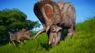 Stegosaurus behind a Chasmosaurus and a Torosaurus