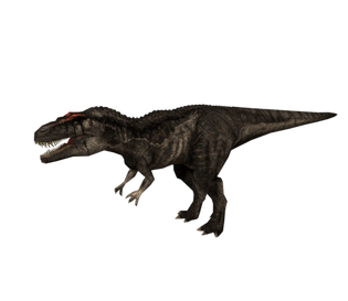 8768.png