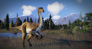 JWE2 Gallimimus