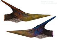 JW Pteranodon Concept Art Orange and Blue Heads
