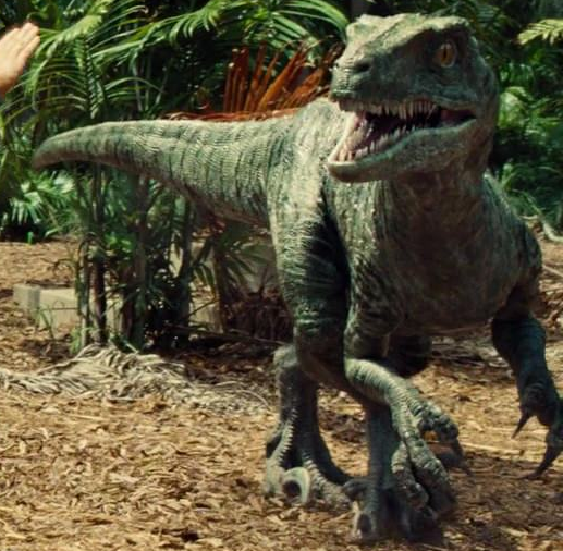 Charlie Raptor Jurassic Park Wiki Fandom 