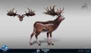 Caroline-gagne-concept-creature-megaloceros-portfolio