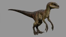 Echo (medium nougat and sand green velociraptor)