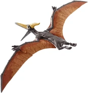 Ptera m1.jpg (162 kB)