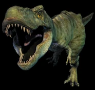 Tyrannosaurus rex