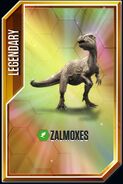 Zalmoxes card