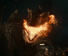 Горящая  его не убила, хотя и сделала страннее.