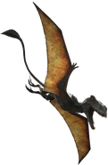 Dimorphodon