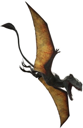 Photograph, Pterodactyl, Cretaceous Dinosaur