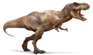Tyrannosaurus-rex-detail-header