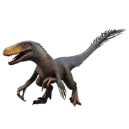 Utahraptor