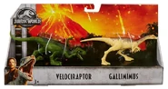 GalliRaptor2pack.jpg (53 KB)