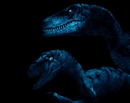 TLWcredits1.jpg (162 KB) End Credits Background #1