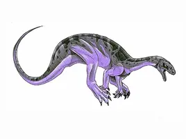 Unaysaurus big