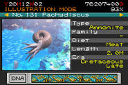131 - Pachydiscus.png (15 KB)