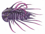 Trilobite