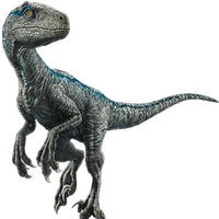 Velociraptor Blue Para Colorear