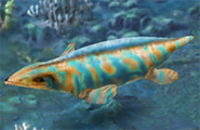 Level 31-35 Tylosaurus