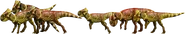 Microherd.png (464 KB)