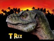 Baby T Rex par DsKoRn