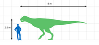 Carnotaurus Size Chart (1)