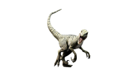 Jurassic world charlie raptor by camo flauge dcslku0-fullview