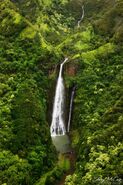 Jurassic-Park-Falls-Kauai(pp w599 h900)