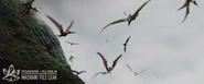 Pterosaurs.jpg (210 kB)