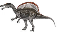 SpinosaurusC