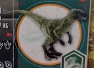 Atrociraptor