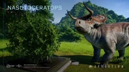 Nasuoceratops jwwe.jpg (136 KB)