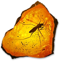 Amber fossil icon 4