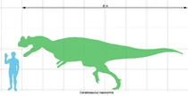 Ceratosaurus scale1