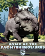 Pachyrhino-20240523 120423.jpg (291 kB)