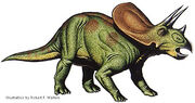 Torosaurus.jpg