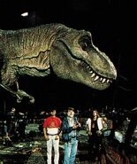 WhatsApp Image 2019-02-07 at 10.39.21.jpeg (290 kB)