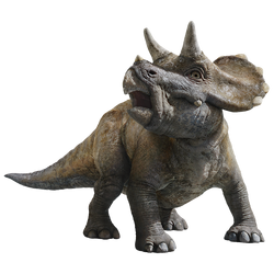 Jurassic World Fallen Kingdom full photo of the Triceratops